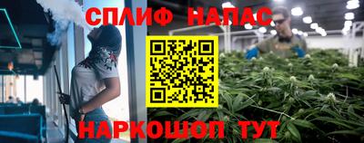 тгк Ставрополь
